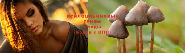 мескалин Белокуриха