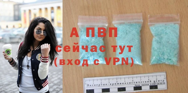 стафф Богородицк